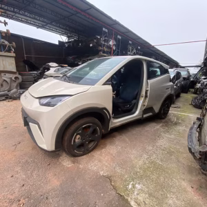 Sucata Byd Dolphin Mini 2024/2025 Elétrico 75cvs